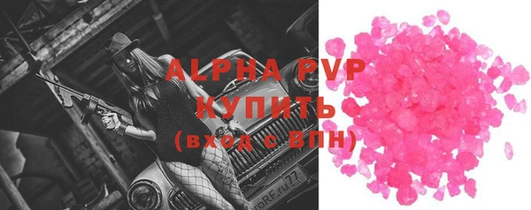 ГАЛЛЮЦИНОГЕННЫЕ ГРИБЫ Гусев