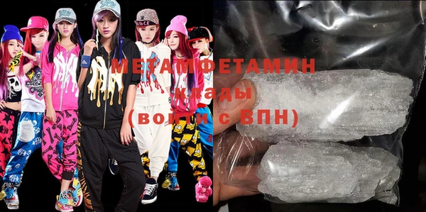 ГАЛЛЮЦИНОГЕННЫЕ ГРИБЫ Гусев