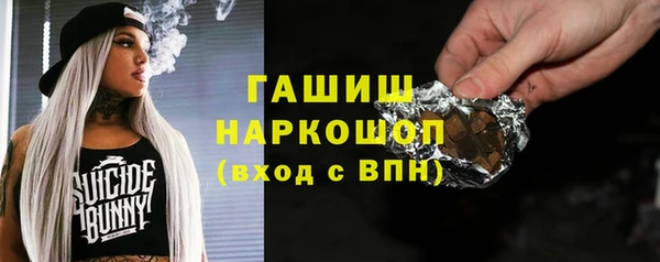 ГАЛЛЮЦИНОГЕННЫЕ ГРИБЫ Гусь-Хрустальный