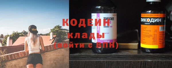 ГАЛЛЮЦИНОГЕННЫЕ ГРИБЫ Гусь-Хрустальный