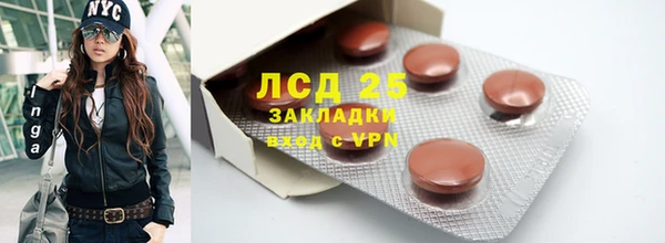 ГАЛЛЮЦИНОГЕННЫЕ ГРИБЫ Гусь-Хрустальный