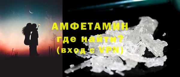 ГАЛЛЮЦИНОГЕННЫЕ ГРИБЫ Гусев