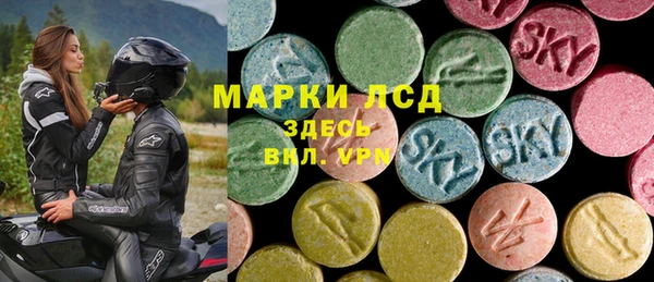 ГАЛЛЮЦИНОГЕННЫЕ ГРИБЫ Гусь-Хрустальный
