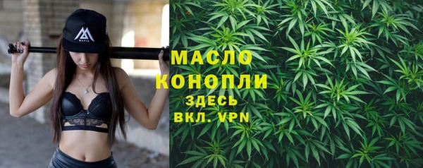ГАЛЛЮЦИНОГЕННЫЕ ГРИБЫ Гусев