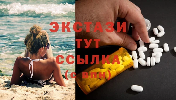 ГАЛЛЮЦИНОГЕННЫЕ ГРИБЫ Гусь-Хрустальный