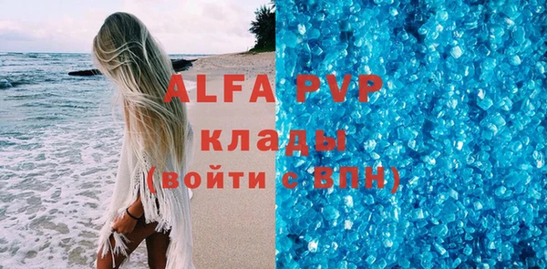 ГАЛЛЮЦИНОГЕННЫЕ ГРИБЫ Гусев