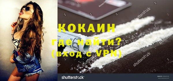 ГАЛЛЮЦИНОГЕННЫЕ ГРИБЫ Гусев