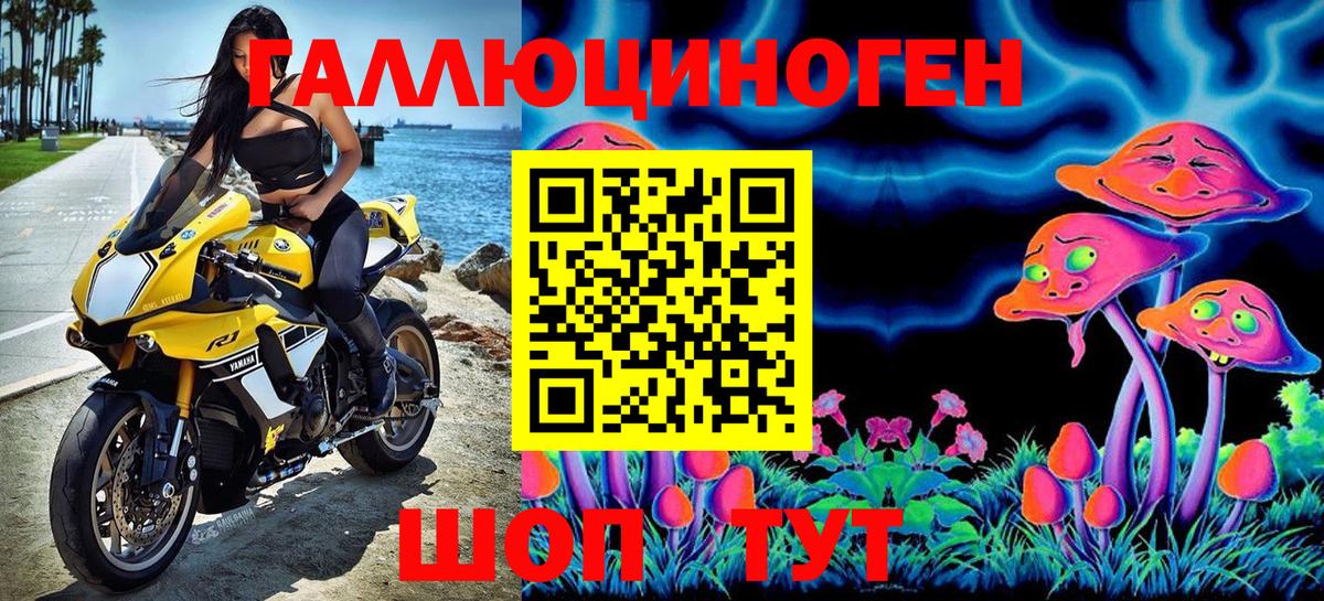 Псилоцибиновые грибы мицелий Междуреченск